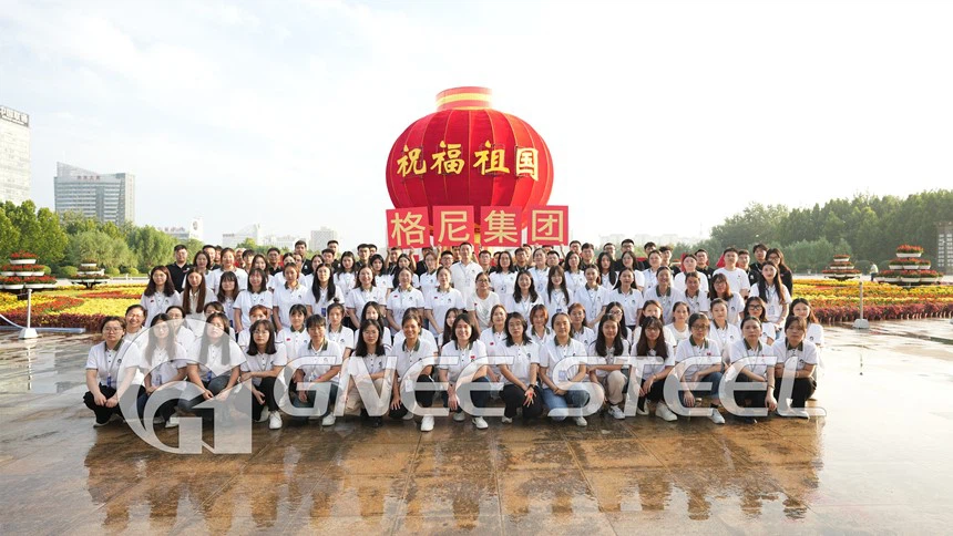 railway spring clip GNEE Team